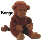 Bongo2